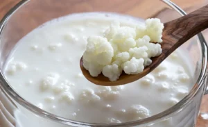 Kefir lecho nodulos
