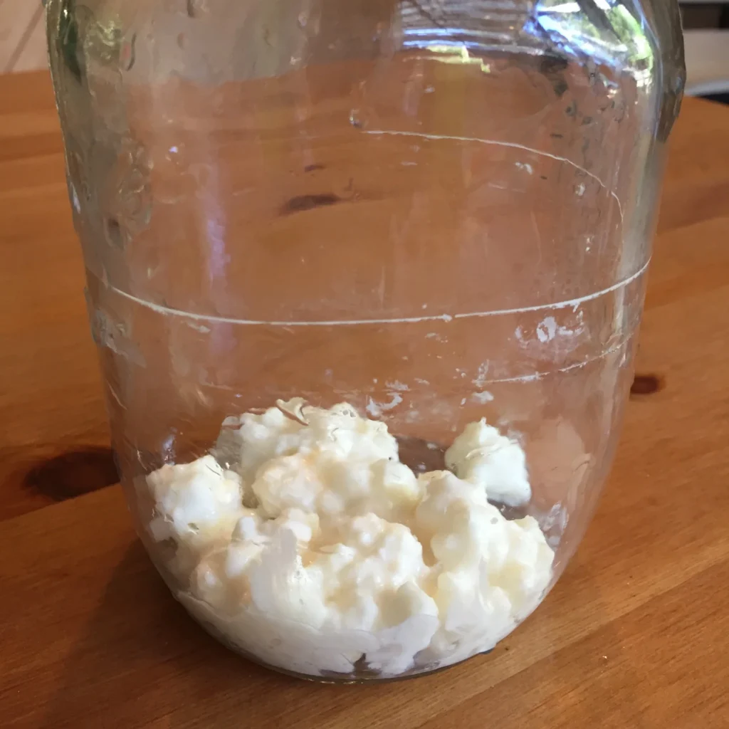 congelar el kefir de leche